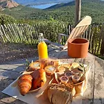 Domaine De Sonia - éco-insolites * Porto-Vecchio (Corsica)