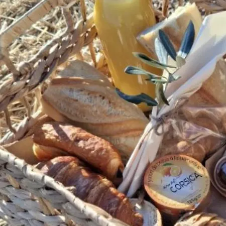 Domaine De Sonia - Eco-insolites Porto-Vecchio (Corsica)